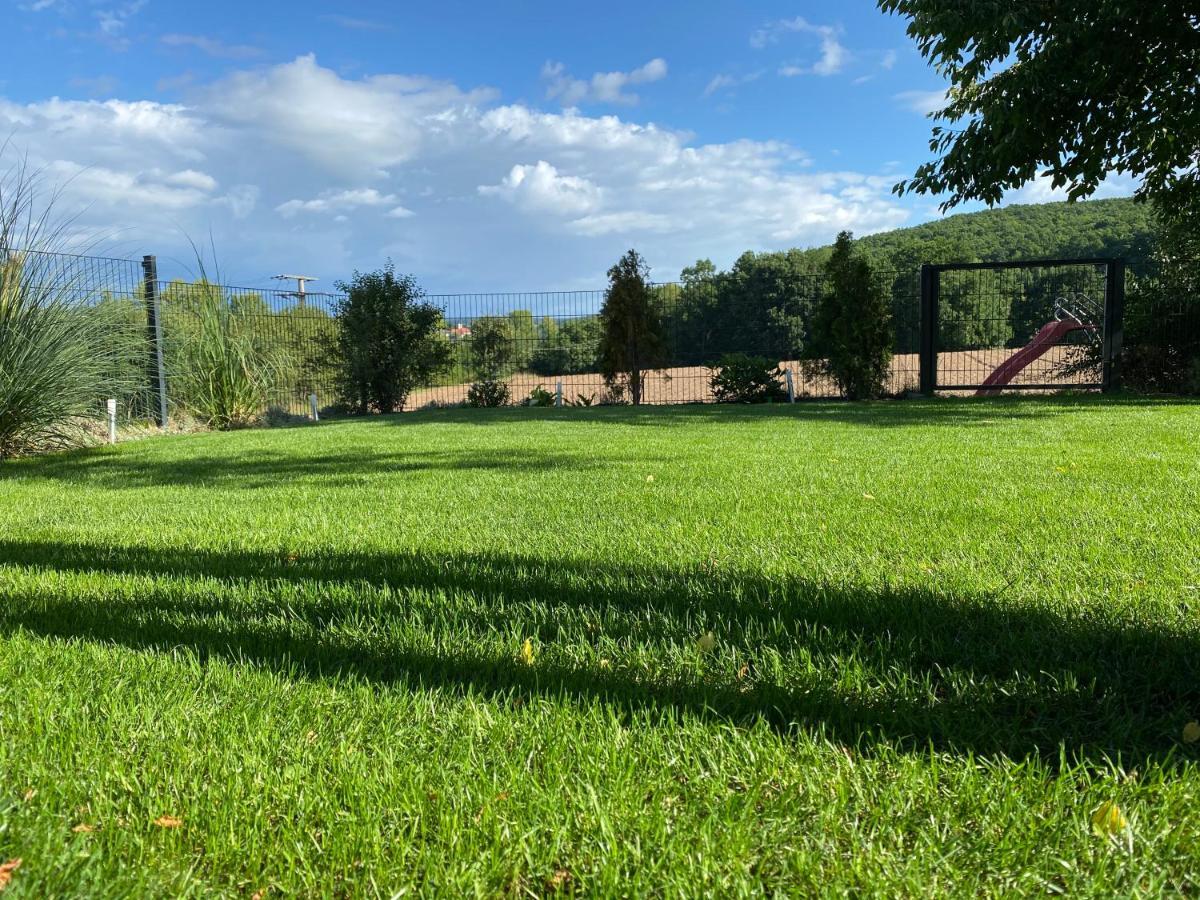 Exclusive High-Quality Apartment Spessart Marktheidenfeld Eksteriør bilde