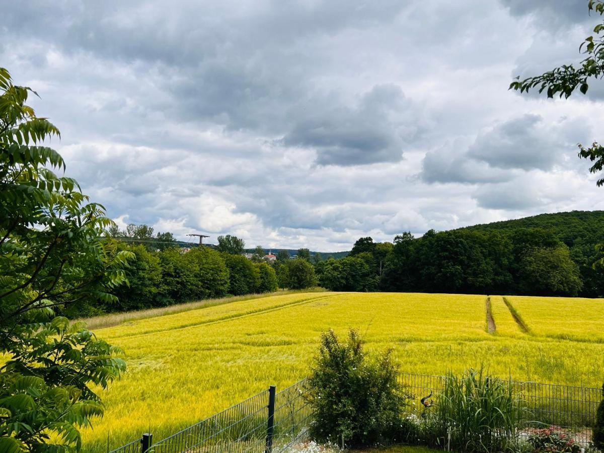 Exclusive High-Quality Apartment Spessart Marktheidenfeld Eksteriør bilde